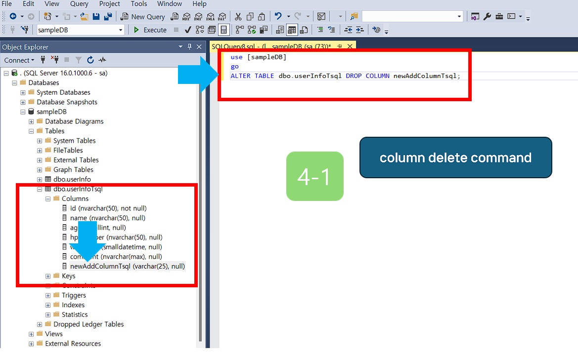 In the SQL Run window, type the source, and click Execute.